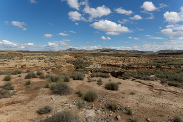 un désert avec son sol et sa végétation