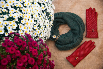 Green scarf and red gloves on a pink fabric with flowers.