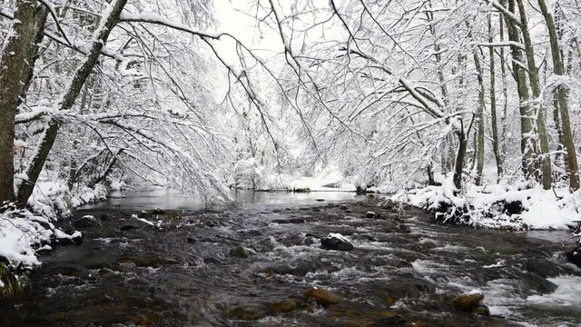Bayas or Baias River, Gorbeia Natural Park, Alava, Basque Country, Spain, Europe