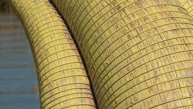 Extreme close-up low-angle still shot of weaving patterns on Uros traditional reed boat, Peru