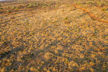 Ultraleichtflug über eine Rinderfarm