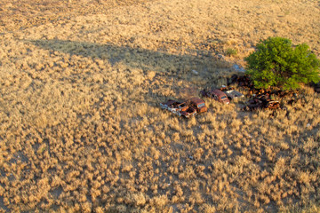 Ultraleichtflug über einen Autofriedhof