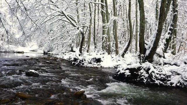 Bayas or Baias River, Gorbeia Natural Park, Alava, Basque Country, Spain, Europe
