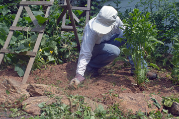 Young Woman Tends Her Vegetable Garden Wearing Sun Protective Clothing