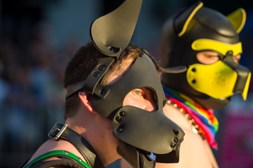 Unrecognizable people wearing animal fetish costumes at a gay pride event in the city - obrazy, fototapety, plakaty