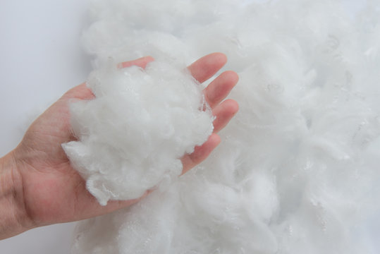 Woman hand holding Polyester stable fiber