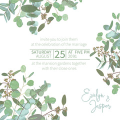 Greeting festive flyer, holiday card, vector. Elegant floral, greenery, asymmetric collection. Bouquet of eucalyptus spiral, populus, robusta. Wedding invitation bouquet оn square