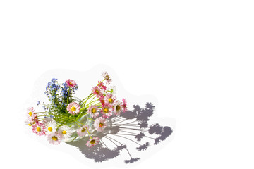 Flowers in a vase with a clear shadow on a white background isolated.