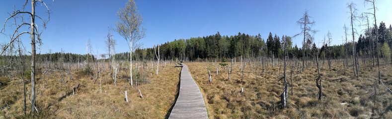 Dubrava minor reserve nature during springtime