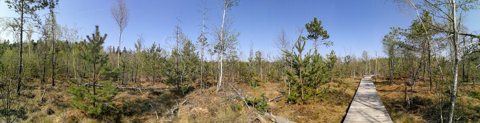 Dubrava minor reserve nature during springtime