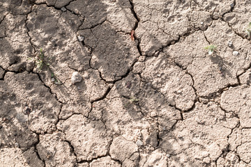 The texture of the dried cracked earth.