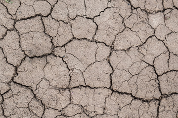 The texture of the dried cracked earth.