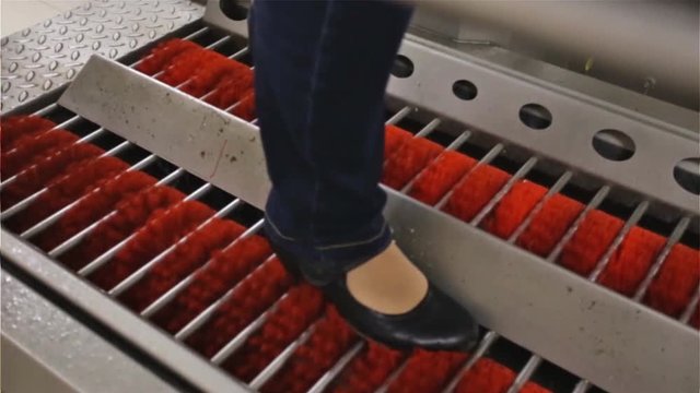 automatic shoe shine