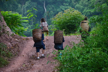 ラオス北部のルアンナムター　山道を歩く少数民族の家族　竹籠を背負い農作業へ向かう姿