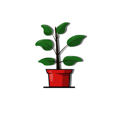 plant pot vector design, green leaves and red pot