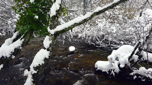Bayas or Baias River, Gorbeia Natural Park, Alava, Basque Country, Spain, Europe