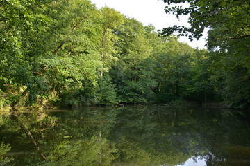 Fototapeta na wymiar Saint-Herblain - Parc de la Chézine