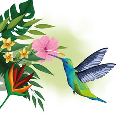 Exotic bird and tropical flowers drawing
