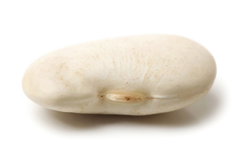White kidney beans on white background 