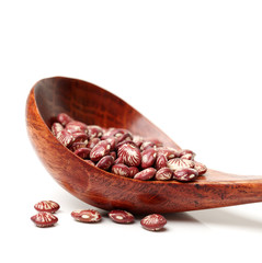 Phaseolus vulgaris on White Background 