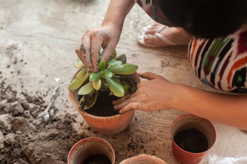 Female planting home plants. Young middle eastern woman planting flower in the pot. Girl gardening. House wife transplanting plant into a new pot