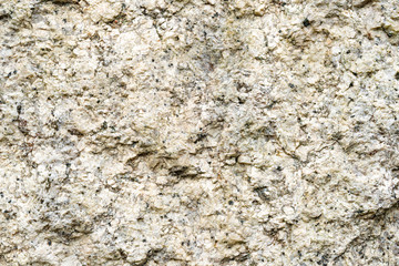 Texture of Stone Surface