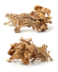 An image showing some dried oriental willow mushrooms, or brown tea tree mushrooms. Popularly used in chinese 
