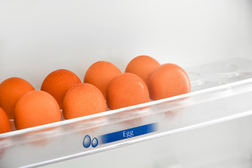 fresh chicken eggs in the egg shelf in the refrigerator, copy space, breakfast time concept