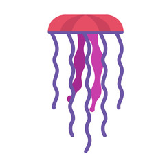 Jellyfish flat illustration on white