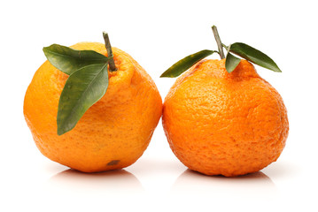 ugly tangerine on a white background 