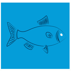 Blue fish flat illustration design