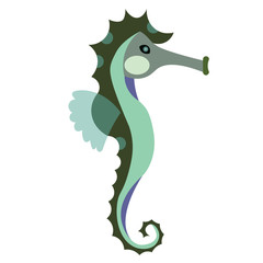 Seahorse flat illustration on white