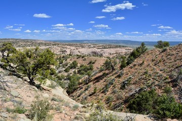 Fototapeta na wymiar Red Rock Park Gallup New Mexico Desert Hiking Sandstone View