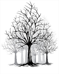 dry tree on artline vecor  for background illustration 