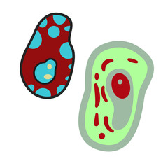 Bacteria flat illustration design graphic