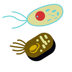 Bacteria flat illustration design graphic
