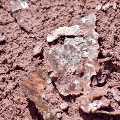 Mica at Painted Desert Petrified Forest National Park Arizona