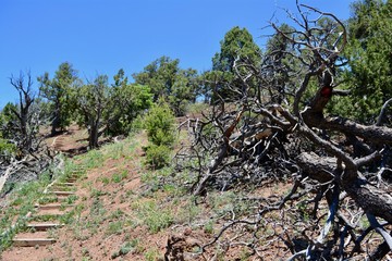 El Calderon Trail El Malpais National Monument New Mexico