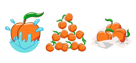peach vector set clipart design