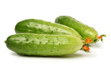 Green cucumber on the white background