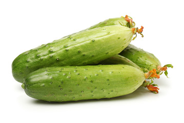Green cucumber on the white background