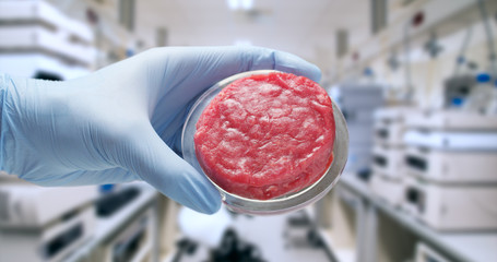 Close up of a scientist is showing in camera the cultured artificial meat sample in a modern...