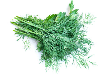 Fresh parsley and dill bunch.