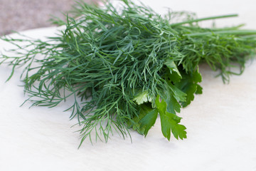 Fresh parsley and dill bunch.