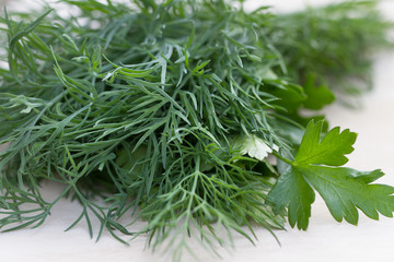 Fresh parsley and dill bunch.
