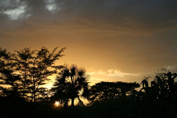 atardecer llanero