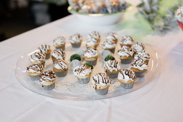 Mini Cupcakes with Chocolate Drizzle