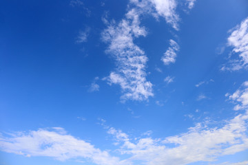 Naklejka na ściany i meble blue sky background with tiny clouds.