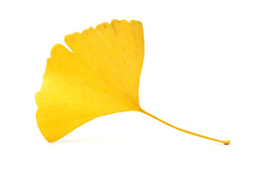 Naklejka premium Yellowginkgo leaf on white background