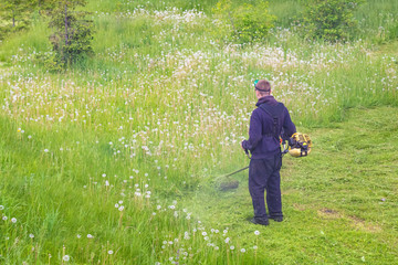 Worker man with a lawnmower mows the grass in a clearing in the park